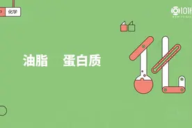 高中化学 必修2 第七章 第四节 基本营养物质 -油脂 蛋白质视频封面