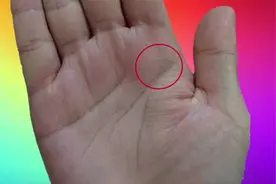 女人手相惊现“凤尾纹”，再养个 5 年，易嫁良人！