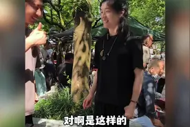 去杭州相亲角真是大开眼界！视频封面