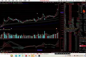 个股点评：PCB行业龙头--胜宏科技