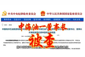 中海油原副总经济师齐美胜被查视频封面