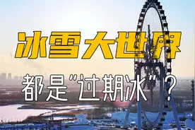 惊艳了老外的冰雪大世界冰雕，用的竟然是“过期冰”！视频封面