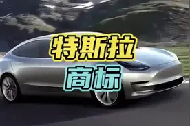 特斯拉商标的艰辛史，200万不卖要2亿，中国小伙牛！政府出面解决视频封面