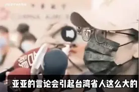 亚亚已回大陆，台湾已无统派。视频封面