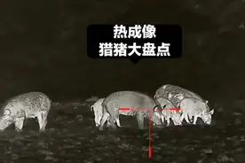 盘点国外大神利用热成像夜视仪狩猎大野猪的精彩场面！视频封面