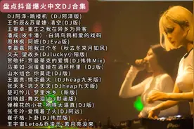 抖音歌曲最火的歌 2025dj歌曲 抖音车载dj 抖音热歌dj串烧