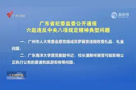 广东省纪委监委公开通报六起违反中央八项规定精神典型问题视频封面