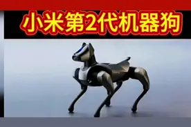 小米第二代机器狗，萌宠新宠，智能陪伴
