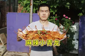 1000多整了12个小青龙，阿远做“麻辣小青龙”吃，Q弹个大，过瘾