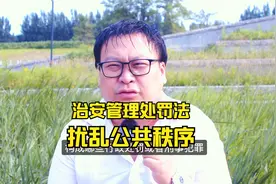 聊聊治安管理处罚法扰乱单位、公共场所秩序的行为视频封面