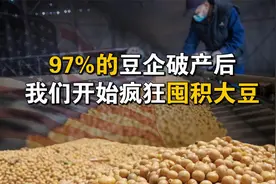 97%的中国豆企被搞破产后，我们开始疯狂囤积大豆
