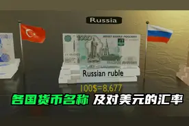 你知道各国使用的货币都叫什么吗，兑换100美元要多少钱呢！！！视频封面