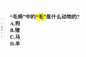 毛病的毛是什么动物的？是狗吗？答错的人很多