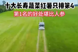 专家终于公布：十大长寿蔬菜，红薯只排第4，第1名的好处堪比人参视频封面