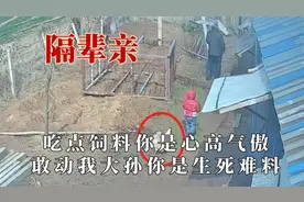 隔辈亲到底能有多离谱？公鸡不长眼的欺负孙子，当晚就被炖上了桌视频封面