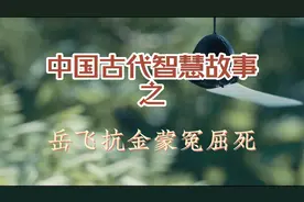 岳飞抗金蒙冤屈死