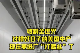 收割全世界，过惯好日子的美国中产，现在要进厂“打螺丝”了视频封面