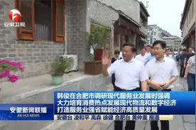 韩俊在合肥市调研现代服务业发展情况视频封面