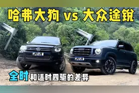 价格差几倍，哈弗大狗挑战大众途锐交叉轴爬坡，差距如何