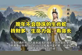 晚年不会卧床的生肖蛇，钱财多、生命力强、寿命长视频封面