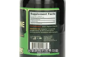 谷氨酰胺的营养功能