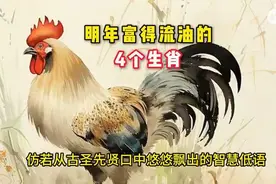 2025年4个生肖运势大揭秘!视频封面