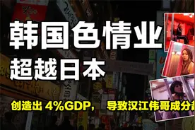 韩国色情业超跃日本，从业者创造出4%GDP，导致汉江伟哥成分超标视频封面