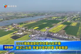 2025湖南油菜花节在君山区开幕