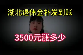 湖北养老金补发到账了， 退休工资是3500元， 看看能补发多少呢？