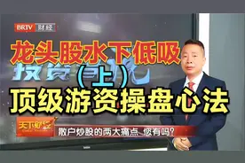 《DJ游资操盘心法》之龙头股“水下低吸”战法（上）视频封面