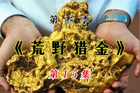 荒漠中寻到干涸的河流，大块狗头金挖到手抖视频封面
