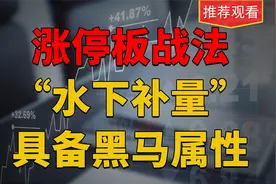 涨停战法：低调第一板！一旦出现“水下补量”，绝大具备黑马属性视频封面