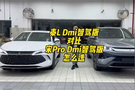 秦L Dmi智驾版 vs 宋pro Dmi智驾版，怎么选？视频封面