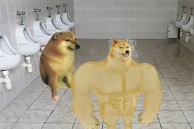 每个学校的男厕所，都是一个神奇的地方视频封面