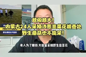 越闹越大！内蒙古24人采摘沙葱韭菜花被查处 野生蘑菇也不能采！