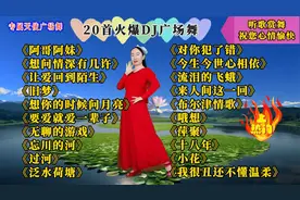 20首火爆DJ《旧梦》《阿哥阿妹》《想问情深有几许》《忘川的河》