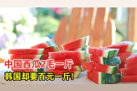 中国西瓜2毛一斤，韩国却要百元一斤，价格为什么差这么多？视频封面