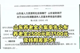 山东养老金方案率先公布，养老金2500元和7500元，涨钱相差多少？视频封面