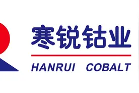 250328财务思维案例分析之寒锐钴业视频封面