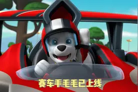 汪汪队立大功：毛毛竟然化身成赛车手化解危机