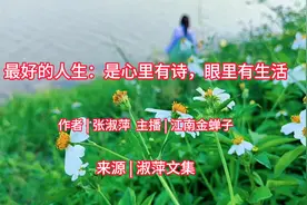 最好的人生：是心里有诗，眼里有生活视频封面