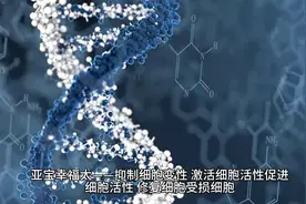 亚宝幸福太——抑制细胞变性、激活细胞活性、促进细胞新陈代谢