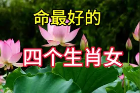 命最好的4个生肖女，晚年最有钱、最健康、最长寿、最有福气！视频封面