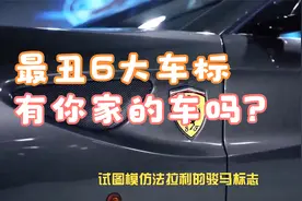 全球“最丑”6大车标，严重拉低车子档次，快来看看有你家的车吗视频封面