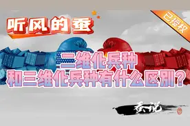 听风的蚕：二维化兵种和三维化兵种有什么区别？（上）视频封面