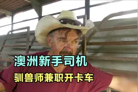 德国马术师搞兼职开卡车，五天运7匹马跑3350公里疲惫不堪