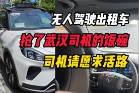 “萝卜快跑”抢了武汉司机的饭碗，每6公里4块钱，司机请愿求活路视频封面