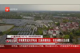 农地竟变成光伏电站 兰溪资规回应：农田调整合法合规视频封面
