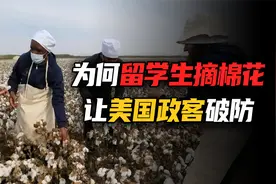 地狱笑话：北大一张黑人白人采棉花照片，让美国政客集体破防