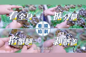 想要挑到肥美的大闸蟹，“一看二掂三掐四剥”口诀要记牢（澎湃）